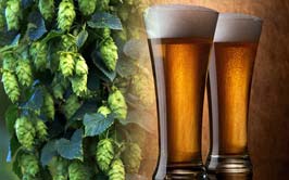 Beer, Wine & Hops Testing In New Hampshire