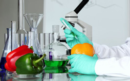 Food Testing Lab In New Mexico