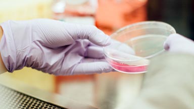 Michigan Rapid Bacterial Testing Lab