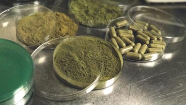 Michigan Kratom Testing Lab